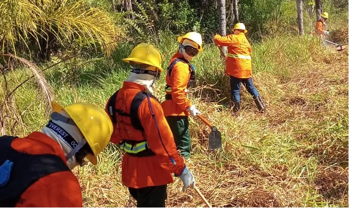 Brigadistas em área de vegetação rasteira, com equipamentos de proteção